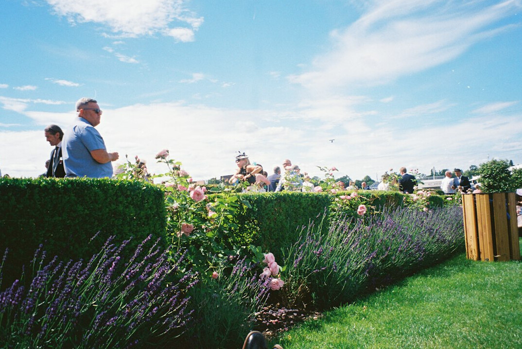elderly people chatting in garden