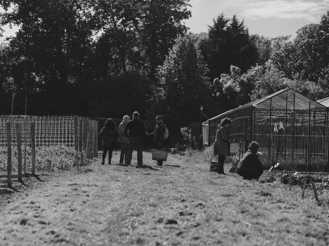 elderly neighbors chatting in garden