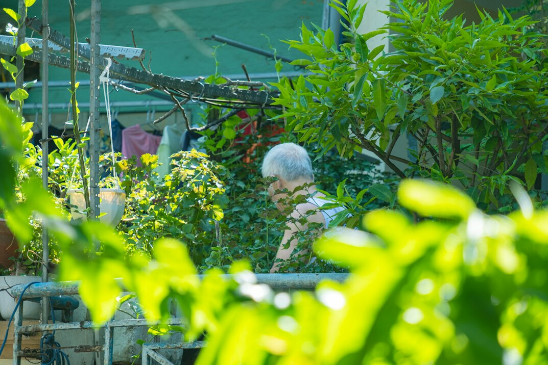 group of seniors gardening